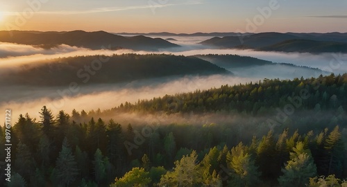 A Gentle Sunrise Over A Misty Forest