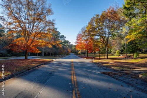 Georgia Highway: Long Tree Shadows on Robert E Lee Boulevard at Stone Mountain Park