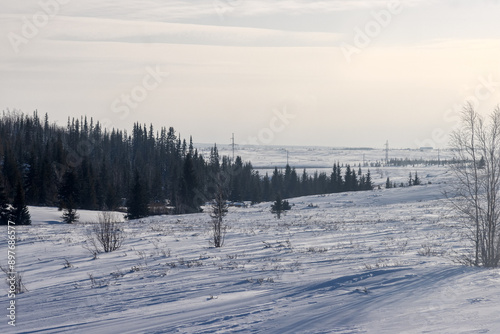 Republic of Komi tundra landscape. Coal, gas, oil and Gulag prison camps are located on this land photo