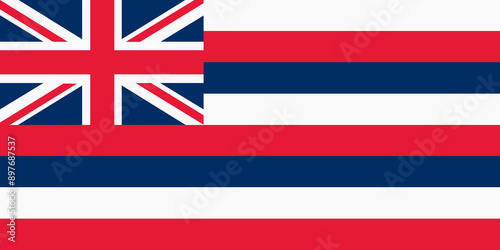 Hawaii State Flag background illustration