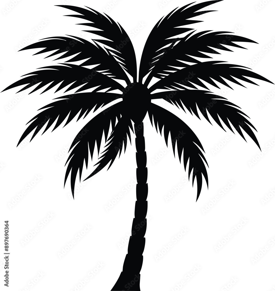 Obraz premium Tropical Palm Tree Vector Collection – Isolated on White Background