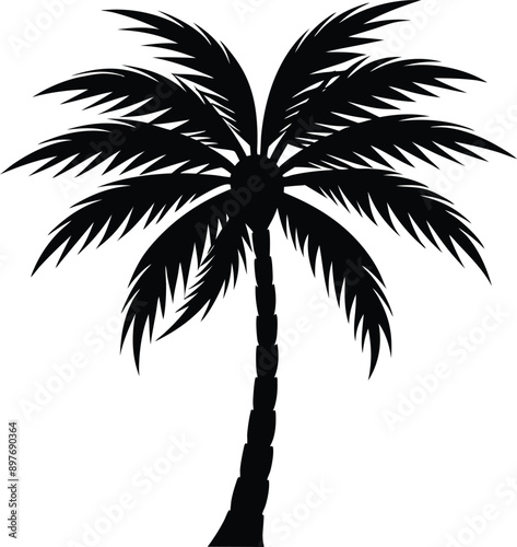 Tropical Palm Tree Vector Collection – Isolated on White Background
