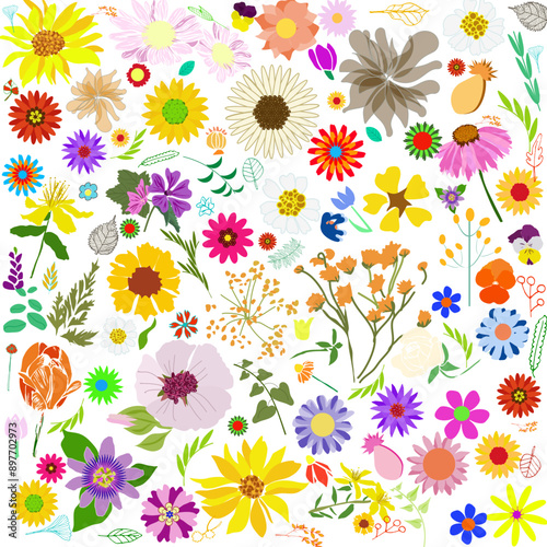 Sfondo con tanti fiori colorati di primavera