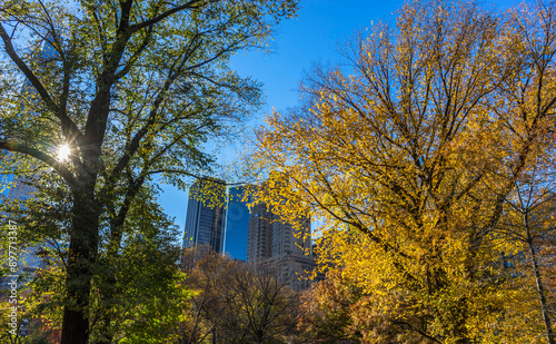 Autumn Color: Fall Foliage in Central Park, Manhattan New York and sky scarpers  photo