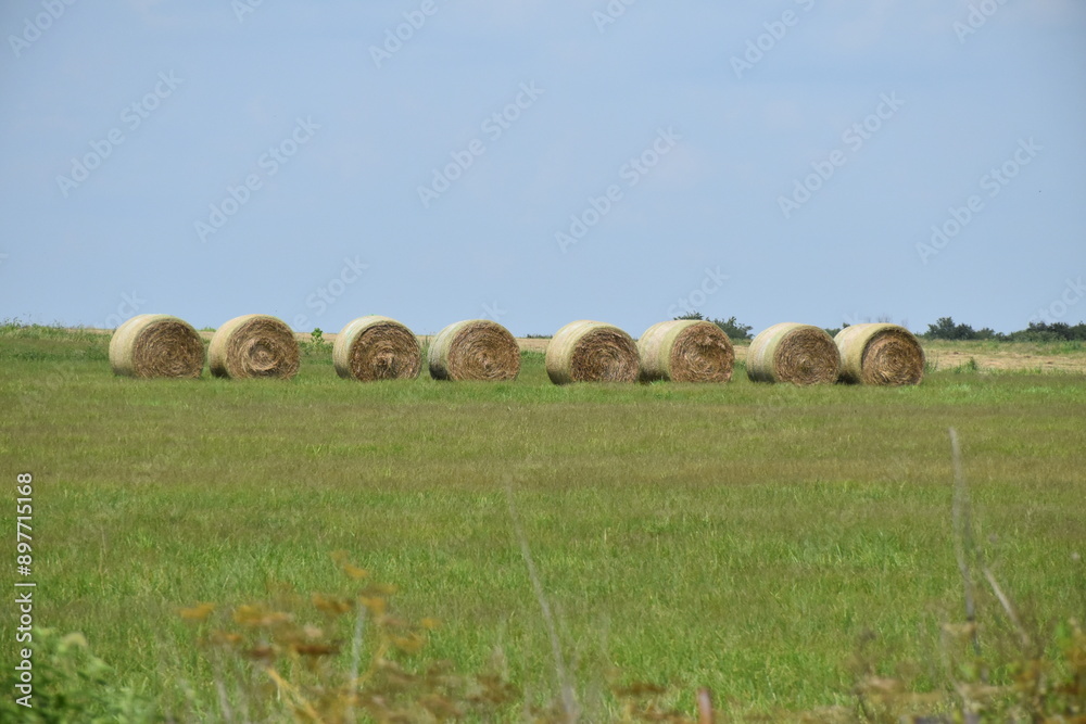 Row of Hay Bales in a Farm Field Row of Hay Bales in a Farm Field