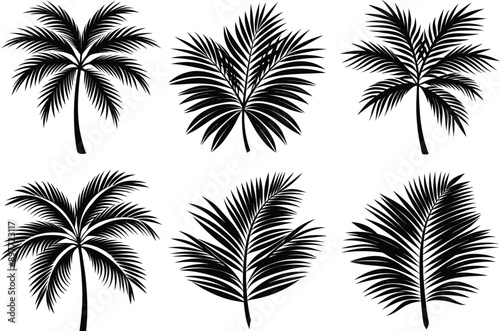 Set of palm leaves and branches black on white background