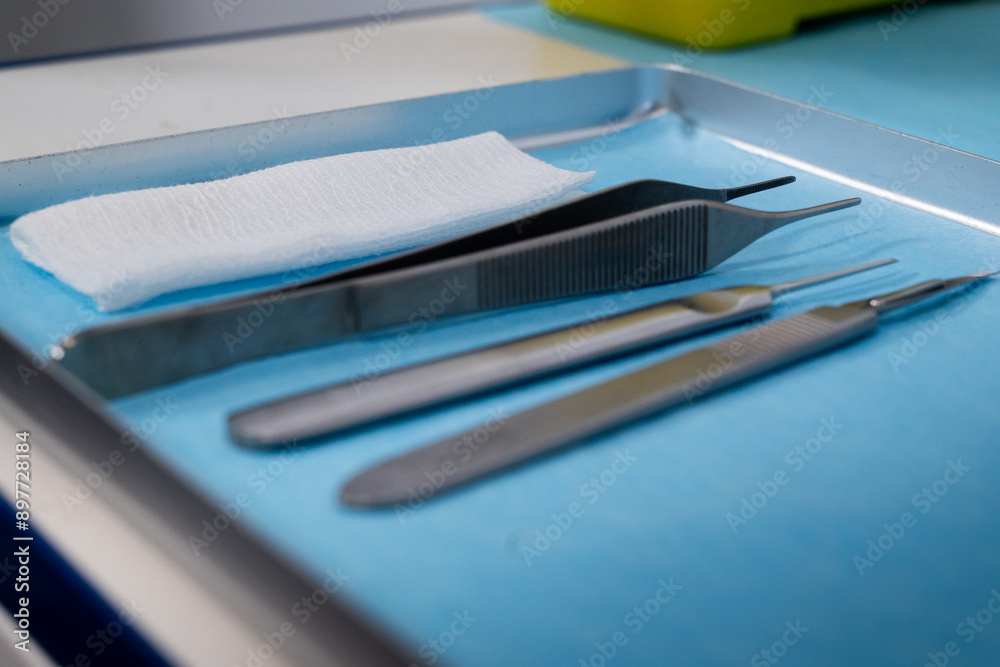 Sterile Instruments Ready for Use Sterile Instruments Ready for Use