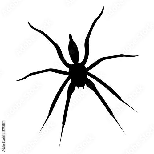Silhouette of black spider.Vector spider icon.Large scary spider.