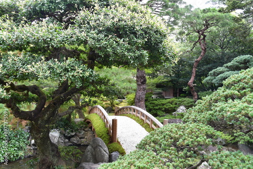 japanese garden bridge
