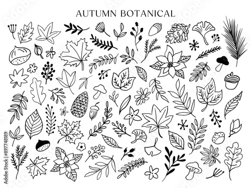 秋の植物の手描きの線画イラストセット
