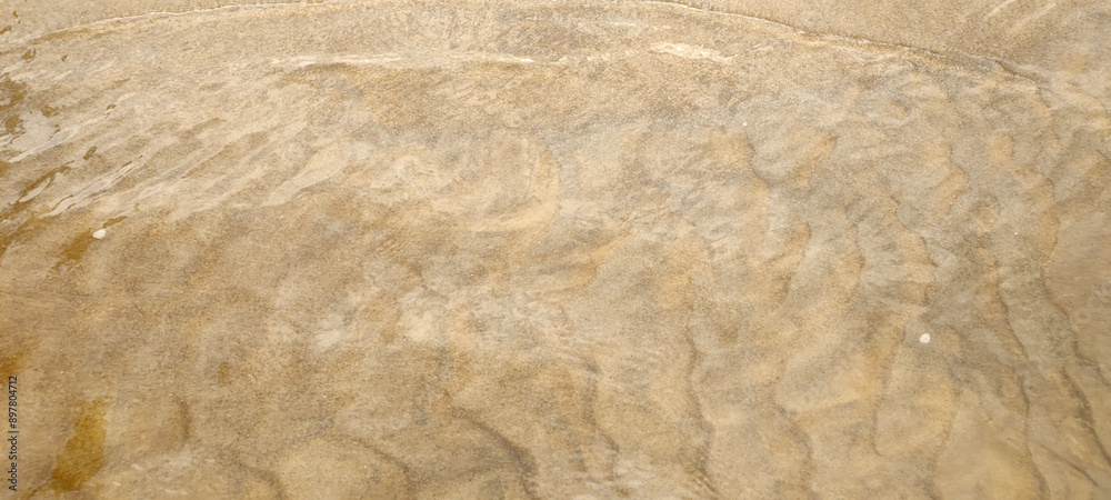 Fototapeta premium Sand beach sea river water stone rock cement sidewalk street road path nature vegetation undergrowth texture footprints repetition frequency pattern landscape foliage palm tree forest leaf sky