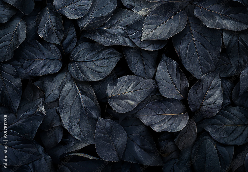 Moody Dark Leaves Background with Rich Texture and Contrast
