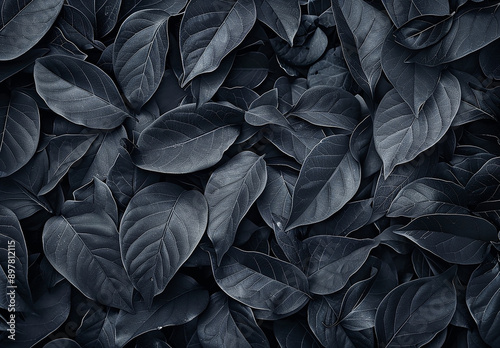 Moody Dark Leaves Background with Rich Texture and Contrast © oneli