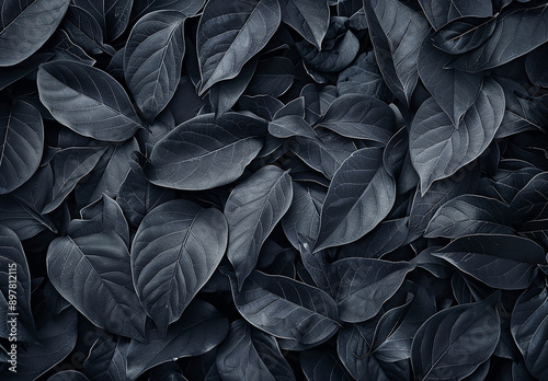 Moody Dark Leaves Background with Rich Texture and Contrast