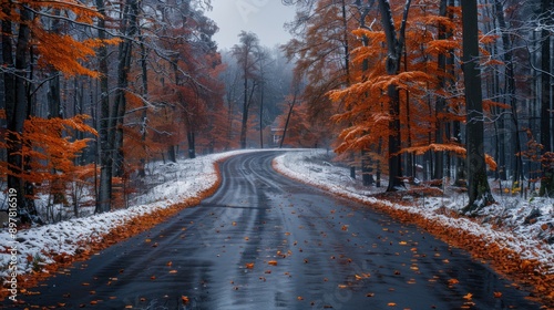 Snowy Road Through a Forest