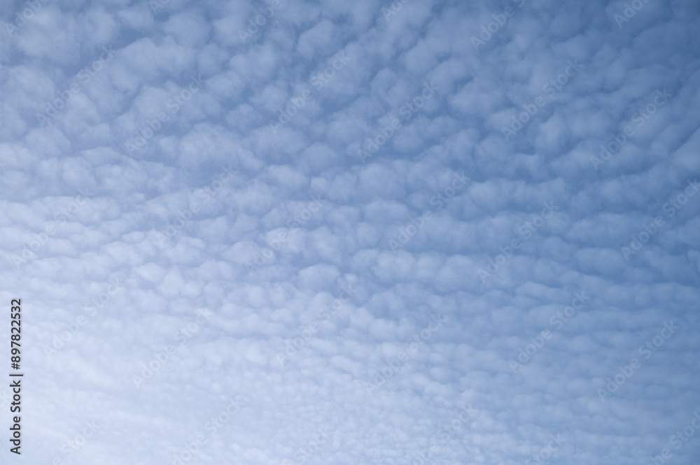 Obraz premium Cirrocumulus clouds appear on blue sky.