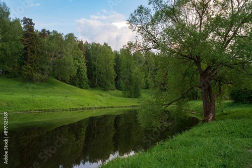 Slavyanka River Valley in the landscape part of the Pavlovsk Palace and Park Complex on a sunny summer day, Pavlovsk, Saint Petersburg, Russia