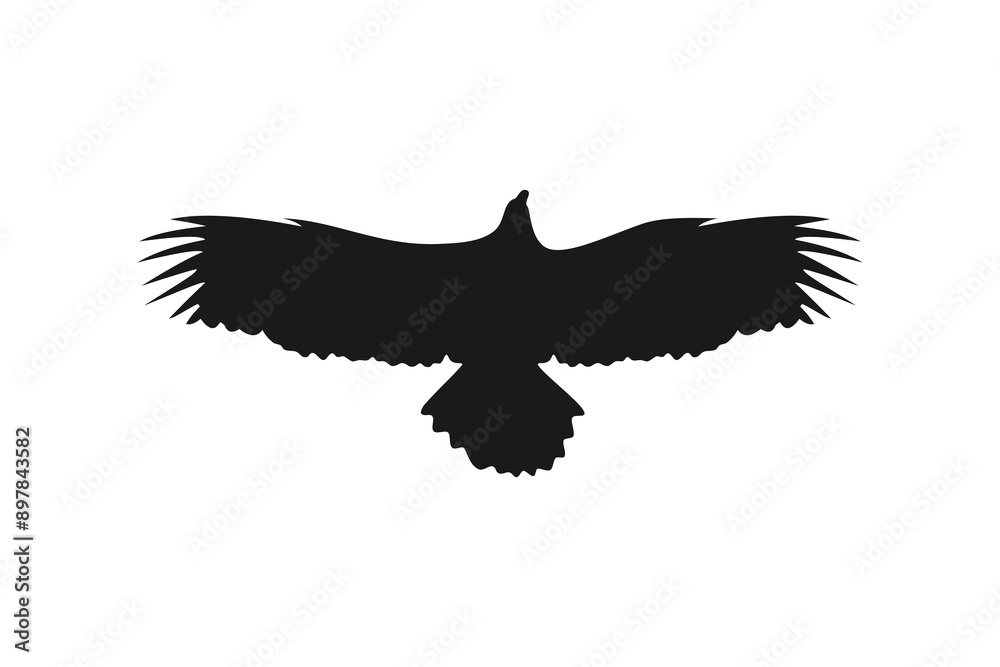 Flying eagle hawk falcon wing vector silhouette black background illustration Flying eagle hawk falcon wing vector silhouette black background illustration