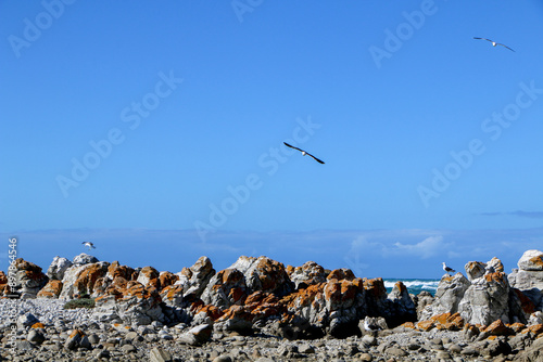 Cape Agulhas, the most southerly point on the African continent. photo