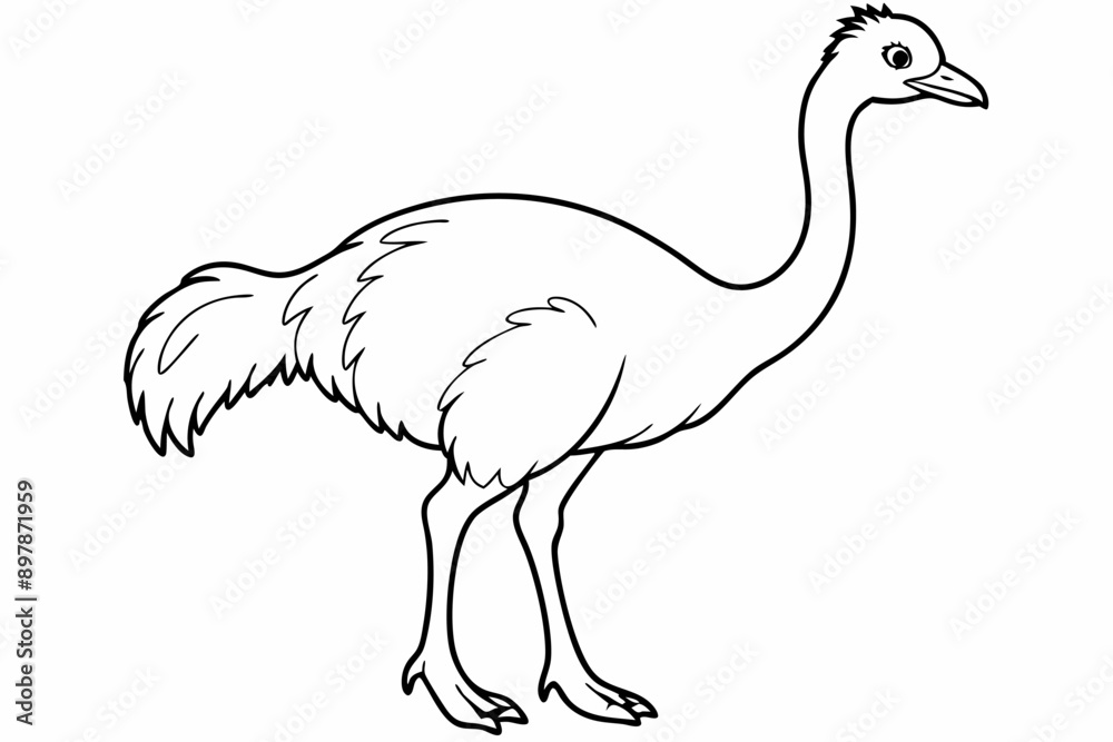 Funny Emu Vector Illustration Cartoon, Clipart, and Line Art on White Background, Funny emu cartoon vector illustration, clipart, and line art on white background Funny Emu Vector Illustration Cartoon, Clipart, and Line Art on White Background, Funny emu cartoon vector illustration, clipart, and line art on white background