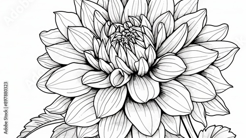 Wallpaper Mural Discover Peace with Our Mandala Adult Coloring Book Torontodigital.ca