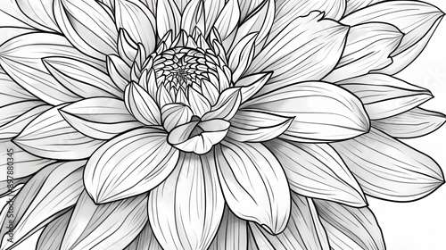 Wallpaper Mural Discover Peace with Our Mandala Adult Coloring Book Torontodigital.ca