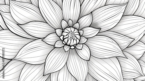 Wallpaper Mural Discover Peace with Our Mandala Adult Coloring Book Torontodigital.ca