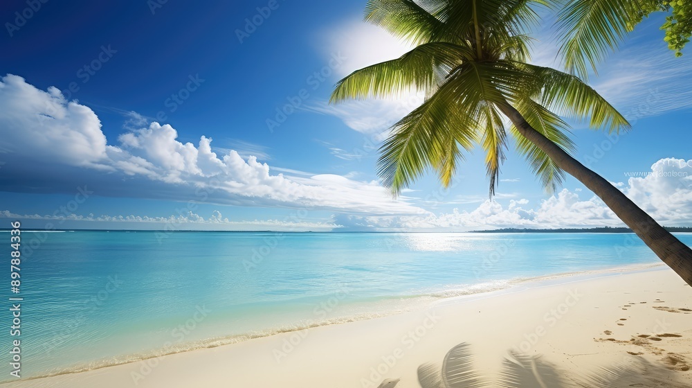 tropical blue palm tree scene tropical blue palm tree scene