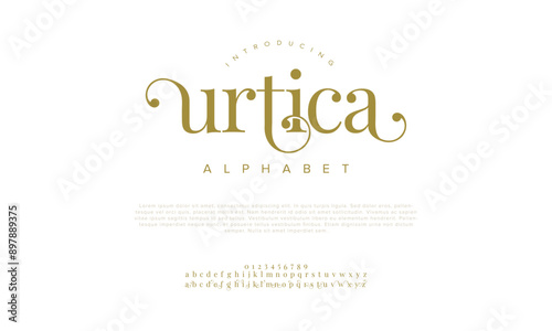 Urtica swash luxury elegant alphabet letters and numbers. Vintage wedding typography classic serif font decorative vintage retro. creative vector illustration