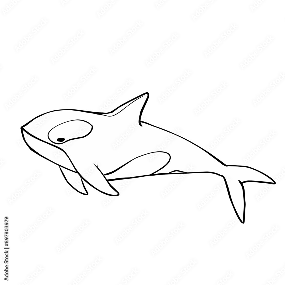 illustration of orca whale illustration of orca whale