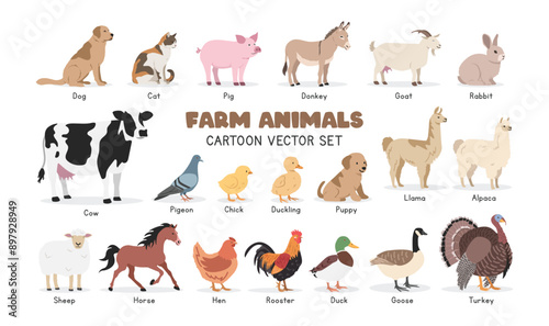 Farm animals vector illustration set. Domestic animals cartoon clipart set in flat style. Dog, cat, pig, donkey, goat, turkey, rabbit, dairy cow, pigeon, sheep, chicken, hen, duck, flat vector design