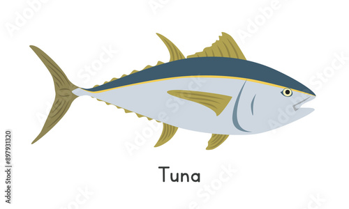Tuna vector illustration. Tuna fish cartoon clipart, animal in flat style. Sea animals, underwater creatures, ocean animals, marine life concept. Tuna vector design isolated on white background