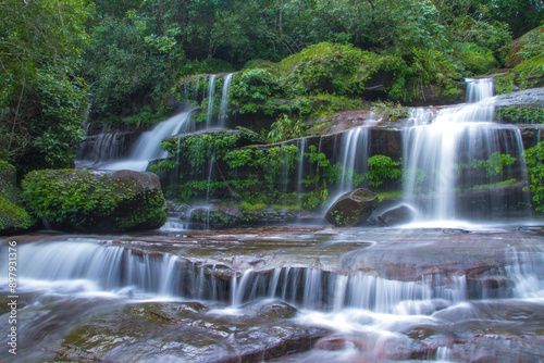 waterfall in the forest