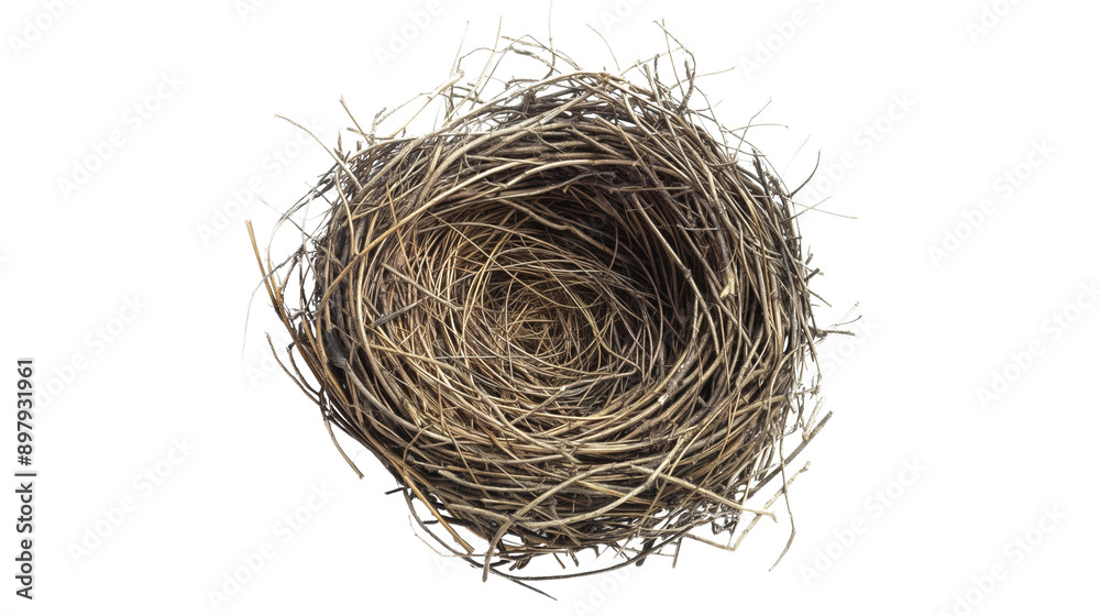 Obraz premium bird nest isolated on transparent white background, clipping path