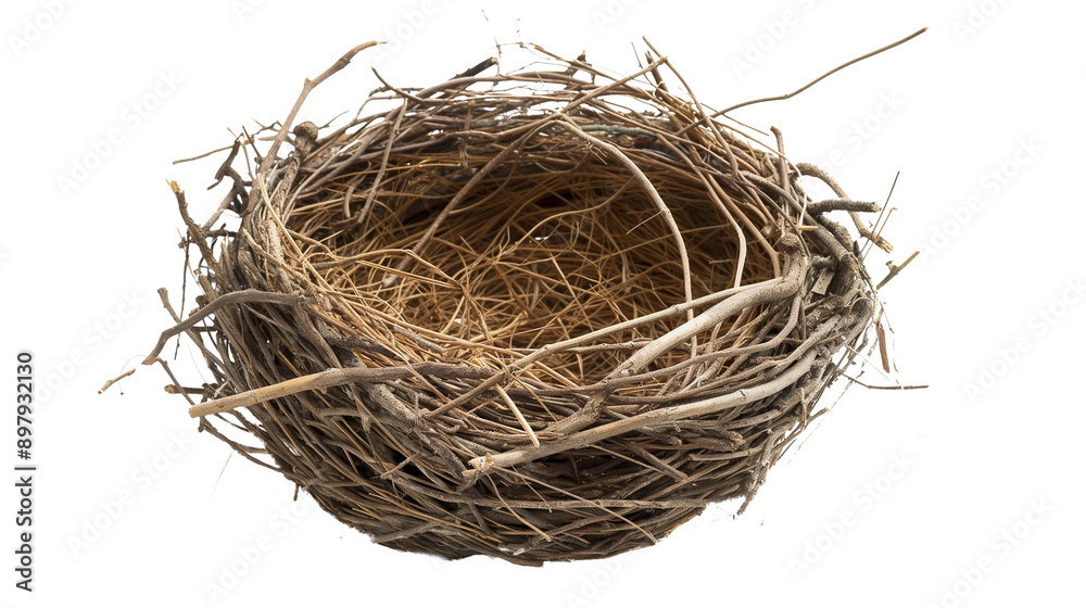 bird nest isolated on transparent white background, clipping path bird nest isolated on transparent white background, clipping path