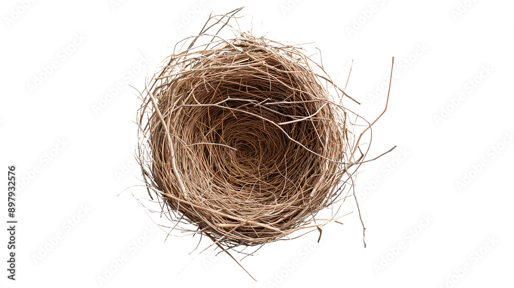 Obraz premium bird nest isolated on transparent white background, clipping path