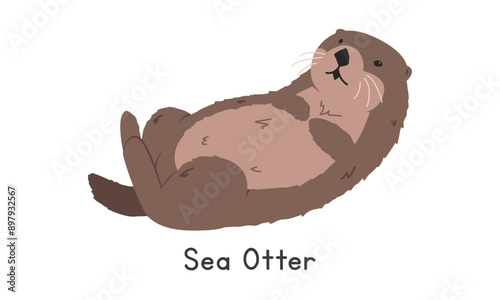 Sea otter vector illustration, cartoon clipart, animal in flat style. Sea animals, underwater creatures, ocean animals, marine life concept. Sea otter vector design isolated on white