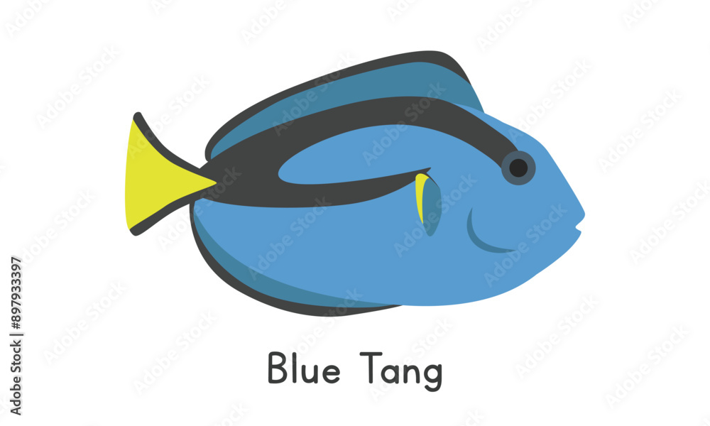 Blue tang fish vector illustration. Cute blue tang cartoon clipart