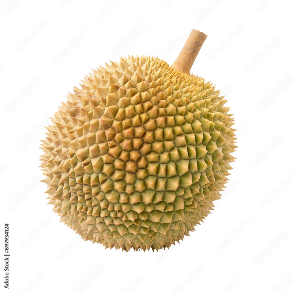 Durian fruit isolated on transparent background Durian fruit isolated on transparent background