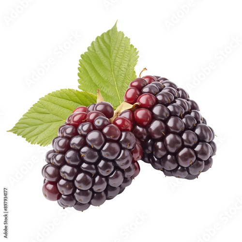 Mulberry fruit isolated on transparent background