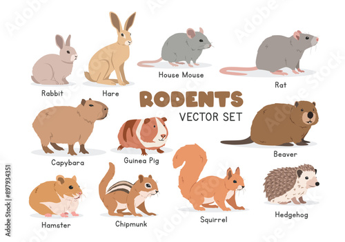 Rodents vector illustration set. Rodent species cartoon clipart set in flat style. Rabbit, hare, mouse, rat, capybara, beaver, hamster, squirrel, chipmunk, guinea pig, hedgehog flat vector design