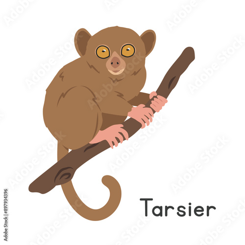 Tarsier vector illustration, prosimian cartoon clipart character, animal in flat style. Wild animals, wild creatures, wildlife concept. Philippine tarsier vector design isolated on white background