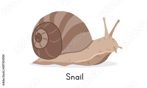 Snail vector illustration, cartoon clipart character, animal in flat style. Wild animals, wild creatures, wildlife concept. Snail vector design isolated on white background