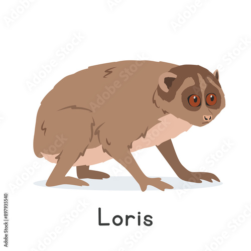 Loris vector illustration, cartoon clipart character, animal in flat style. Wild animals, wild creatures, wildlife concept. Slow loris vector design isolated on white background