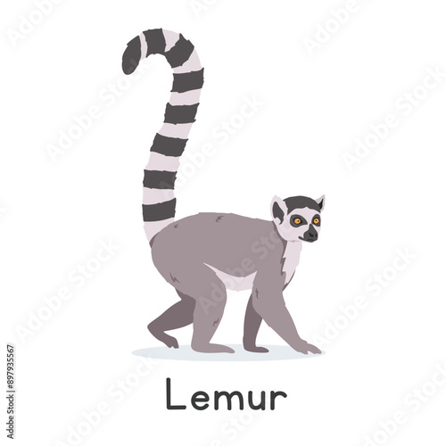 Ring-tailed lemur vector illustration, cartoon clipart character, animal in flat style. Wild animals, wild creatures, wildlife concept. Lemur vector design isolated on white background