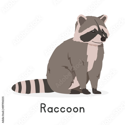 Common raccoon vector illustration, cartoon clipart character, animal in flat style. Wild animals, wild creatures, wildlife concept. Cute Northern raccoon vector design isolated on white