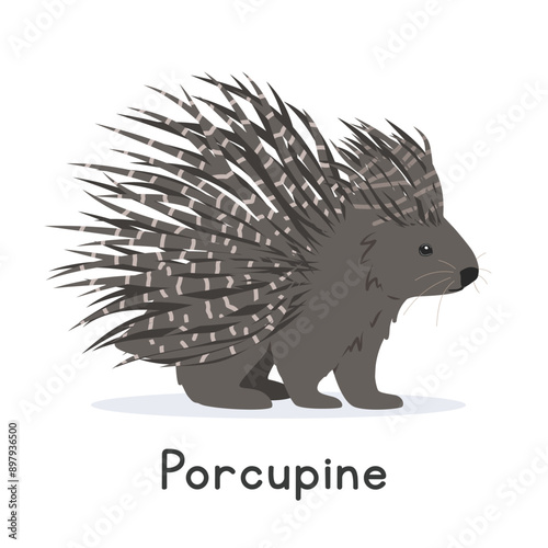 Porcupine vector illustration, cartoon clipart character, animal in flat style. Wild animals, wild creatures, wildlife concept. Cute porcupine vector design isolated on white background