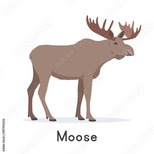 Moose with big horns vector illustration, cartoon clipart character, animal in flat style. Wild animals, wild creatures, wildlife concept. Moose or elk vector design isolated on white background