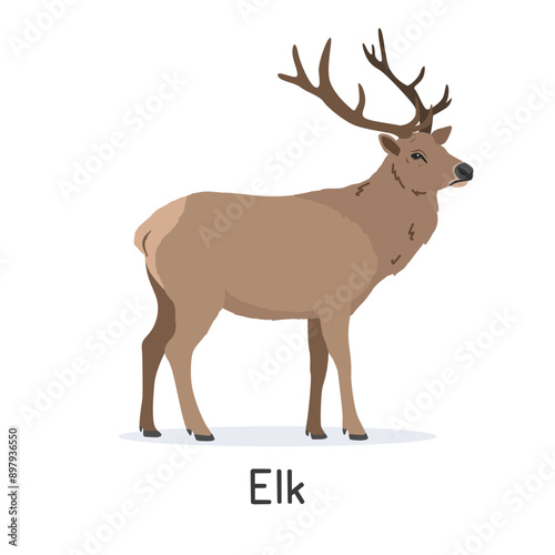 Elk or wapiti vector illustration, cartoon clipart character, animal in flat style. Wild animals, wild creatures, wildlife concept. Elk vector design isolated on white background