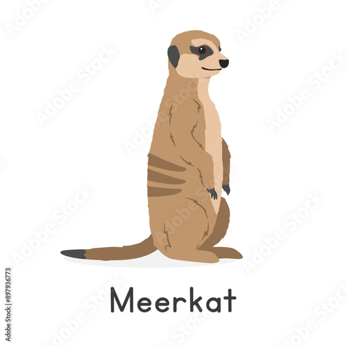 Meerkat in alert posture vector illustration, cartoon clipart character, animal in flat style. Wild animals, wild creatures, wildlife concept. Meerkat vector design isolated on white